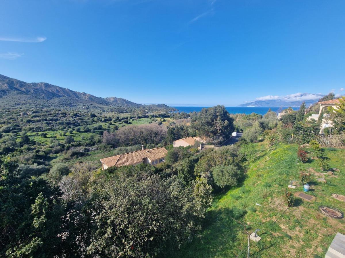 Appartement Vue Mer Fromontica Saint-Florent  Kültér fotó