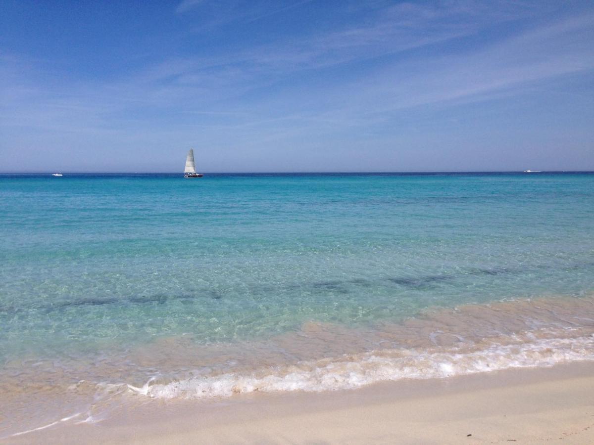 Appartement Vue Mer Fromontica Saint-Florent  Kültér fotó