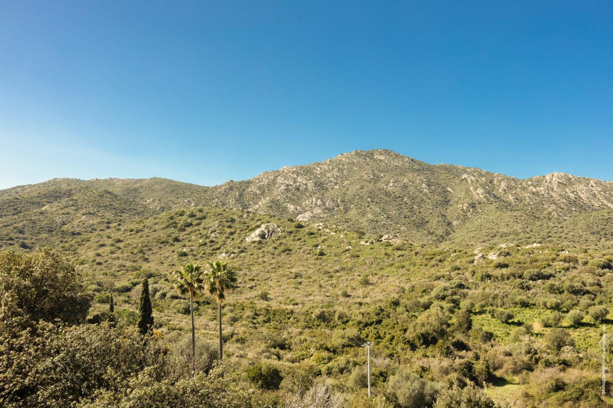 Appartement Vue Mer Fromontica Saint-Florent  Kültér fotó